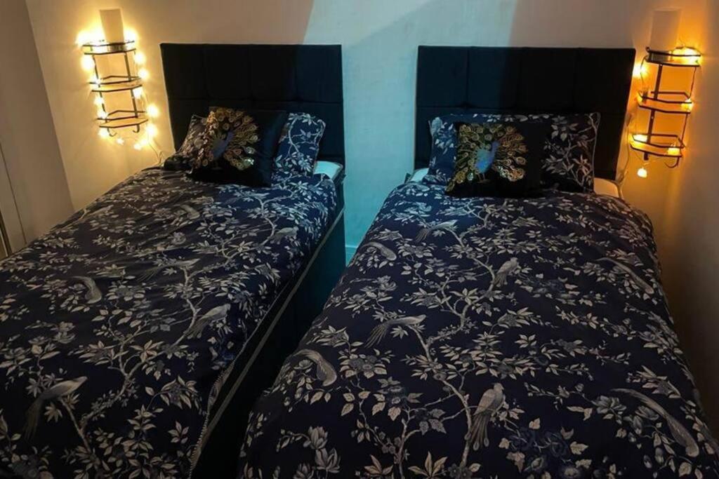 Comfortable Flat Close To The Beach برايتون المظهر الخارجي الصورة